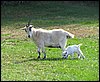 IMG_1680.jpg