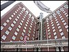IMG_5561.jpg