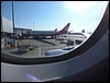 P1050356.jpg