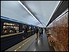 P1050595.jpg