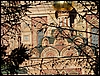 P1050692.jpg