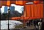100_2980.JPG