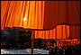 100_2981.JPG