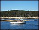 100_0473.JPG