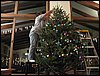 IMG_0390.jpg