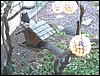 IMG_0407.jpg