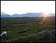100_4316.JPG