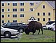 100_3993.JPG