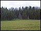 100_4047.JPG