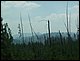 100_4267.JPG