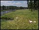 100_4271.JPG